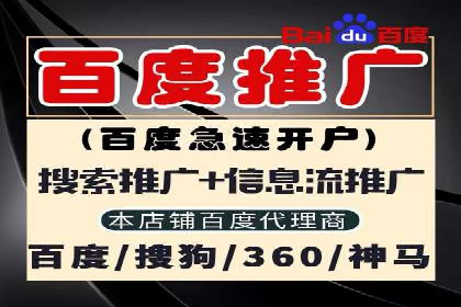 SEM竞价推广案例：低成本高效益的秘诀揭秘